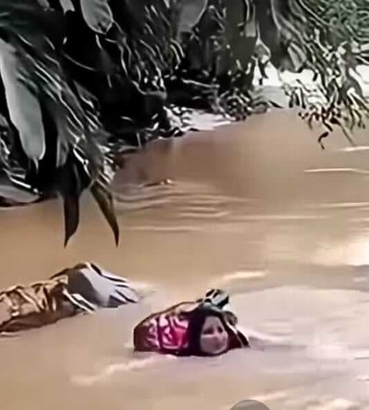 Kisah Heroik Bidan Dona di Pelosok :  Terjang Sungai Deras Demi Pasien