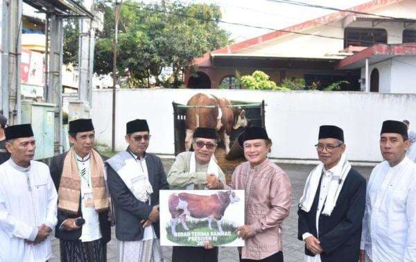 Presiden Prabowo Salurkan Sapi Kurban ke Kuningan, Beratnya Nyaris 1 Ton