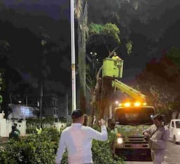 Pemprov DKI Fokus Potong Pohon Besar di Enam Lokasi Jelang Musim Penghujan