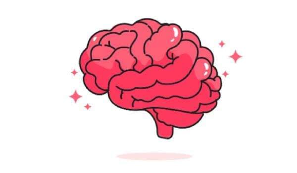 6 Jenis Ikan yang Bisa Bantu Tingkatkan IQ Anak