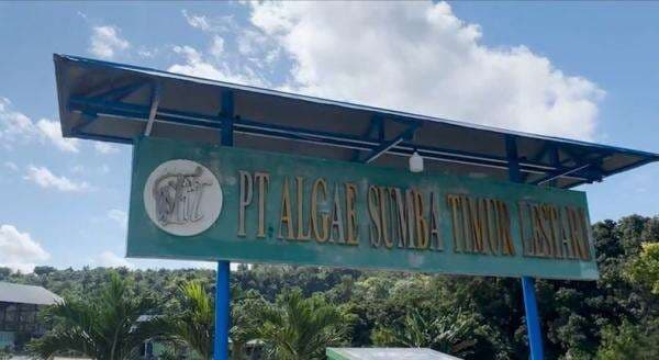 Bupati Sumba Timur Tegaskan Dukung Proses Hukum Dugaan Korupsi di PT ASTIL