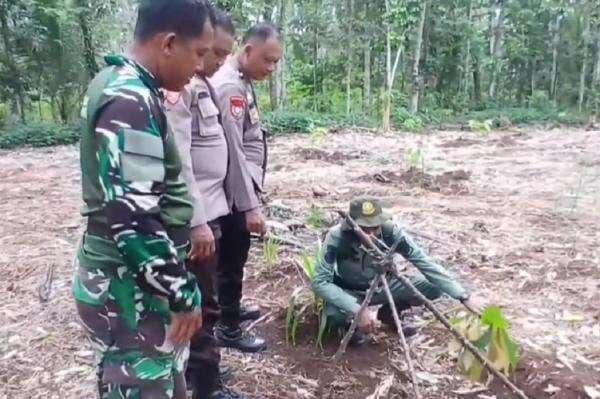 Geger Temuan Jejak Diduga Harimau Resahkan Warga Lampung Timur, Ini Kata BKSDA