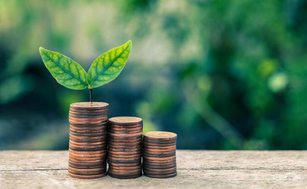 Indonesia Siap Jadi Pionir Ekonomi Hijau dengan Potensi Energi dan Pengelolaan Limbah