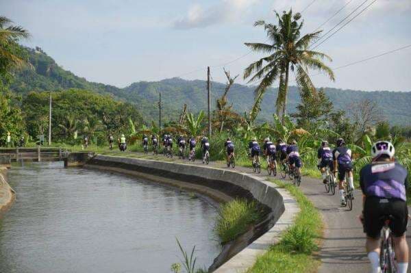 Maybank Cycling Series Il Festino 2025 Pecahkan Rekor! 750 Pesepeda dari 5 Negara Serbu Yogyakarta