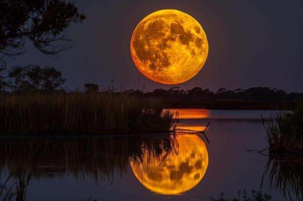 Supermoon 5 November 2025 Jadi yang Terbesar Tahun Ini, Indonesia Kebagian!