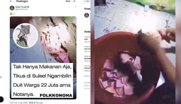 Viral! Tikus di Sulsel ‘Ngepet’ Uang Rp 22 Juta Hasil Panen, Warganet Heboh: Mau Beli 16 Promax