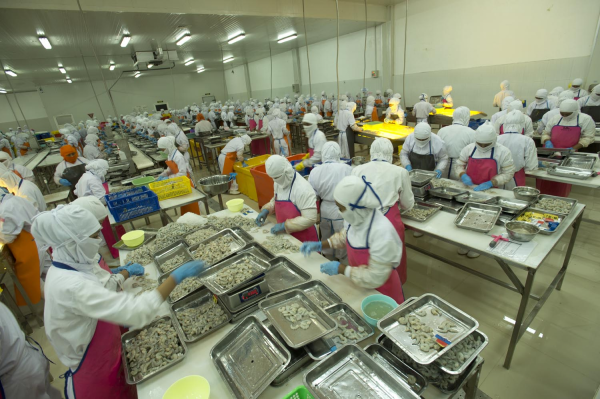 Rama Indonesia Berencana Caplok 59 Persen Saham Dua Putra (DPUM)