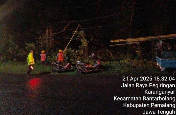 Kapolsek Bantarbolang Dampingi Petugas PLN Evakuasi Dahan Pohon yang Tersangkut di Kabel Listrik