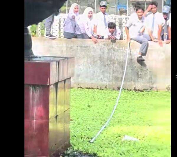 Viral Siswa SMAN 10 Makassar Kompak Selamatkan Kucing yang Tercebur di Kolam Sekolah