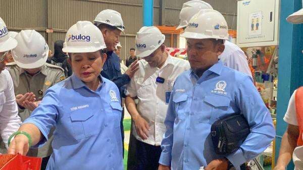 Harga Beras Merangkak Naik di Sulsel, Titiek Soeharto: Bulog dan Bapanas Harus Intervensi Pasar