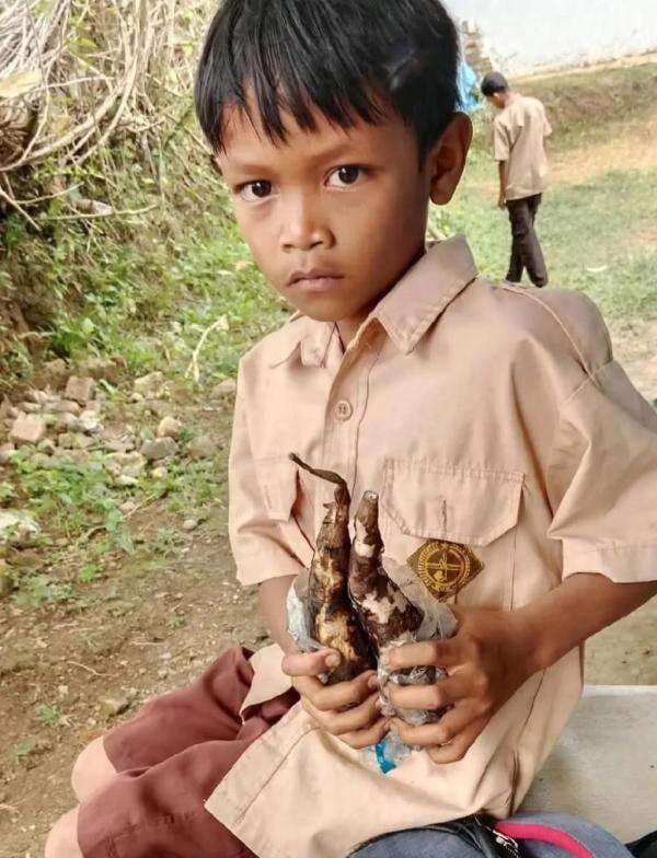 Kisah Siswa SD di Gowa yang Viral karena Hanya Membawa Bekal Ubi ke Sekolah