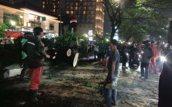 Cuaca Ekstrem, Pemprov DKI Jakarta Tebang Ratusan Pohon Rawan Tumbang