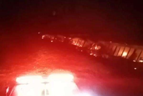 Kandang Ayam di Jombang Ludes Terbakar, 10 Ribu Ekor Ayam Mati Terpanggang, Kerugian Rp700 Juta