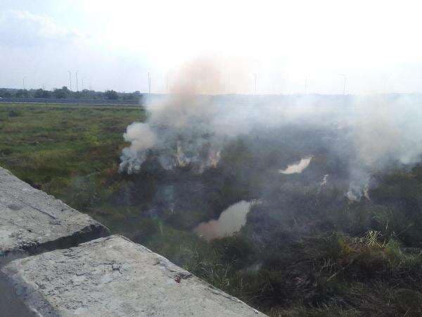 BNPB Catat 19 Bencana dalam 24 Jam, Ada Banjir hingga Karhutla BNPB Catat 19 Bencana dalam 24 Jam, Ada Banjir hingga Karhutla