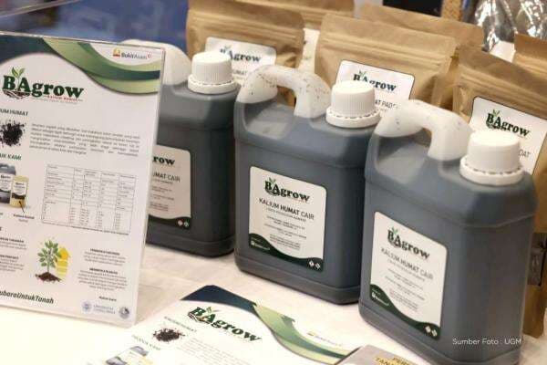 Dukung Swasembada Pangan, PTBA dan UGM Hadirkan Produk Kalium Humat dari Hilirisasi Batu Bara