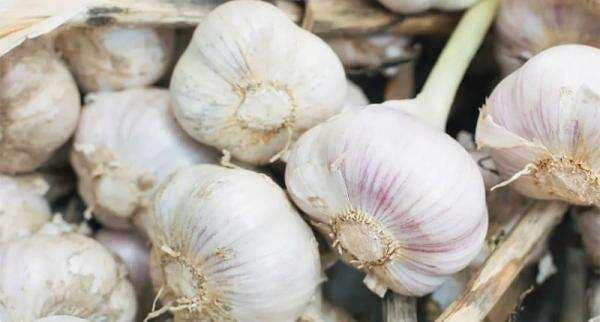 H-3 Lebaran, Harga Bawang Putih di Pasar Induk Kramat Jati Dijual Rp32.000 - Rp40.000 per Kg