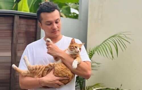 Viral Nicholas Saputra Gendong Kucing Oyen, Netizen Auto Gemas: Mas Aku Juga Mau Viral Nicholas Saputra Gendong Kucing Oyen, Netizen Auto Gemas: Mas Aku Juga Mau