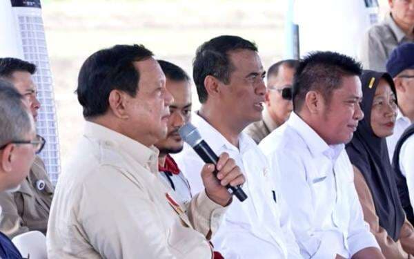 Presiden Prabowo Beri Lampu Hijau untuk Ekspor Beras