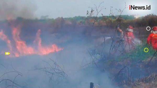 Pemerintah Tetapkan Riau Siaga Darurat Karhutla hingga November 2025