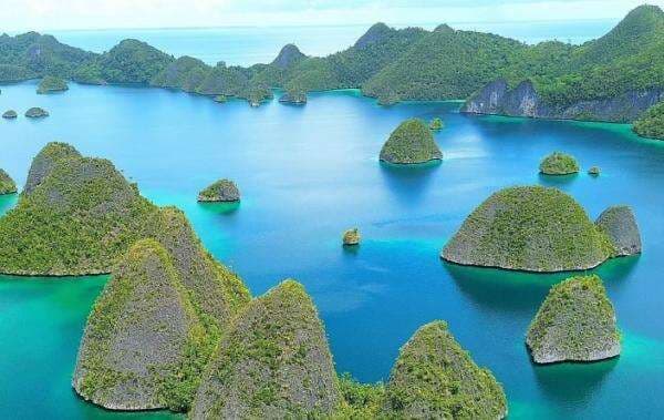 7 Artis Tuntut Perlindungan Alam Papua dari Tambang Nikel, Denny Sumargo Minta Tolong Prabowo