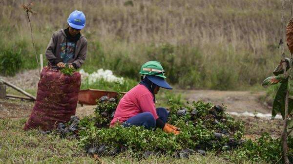 Ekowisata Berkelanjutan di Bogor: Konservasi Alam dan Pemberdayaan Masyarakat di HUT RI ke-80