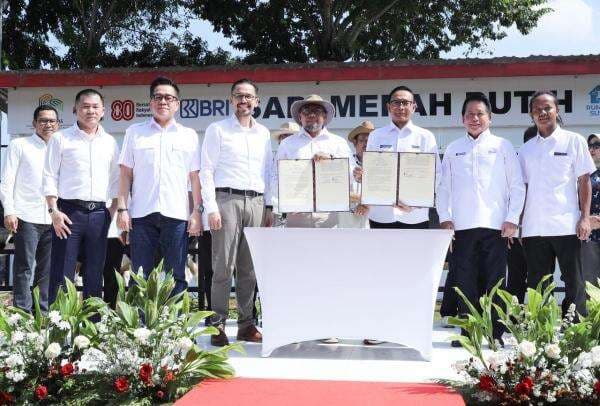 BRI Dukung Sapi Merah Putih, RI Perkuat Langkah Swasembada Pangan