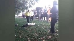 Mayat Pria Kaki Tangan Terikat Ditemukan di Pinggir Tol Jagorawi Berprofesi Driver Taksi Online