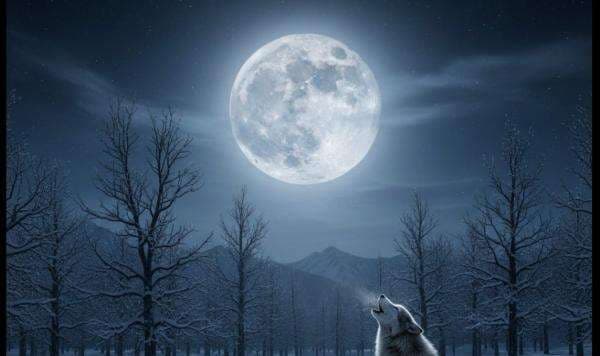 Keajaiban Alam, Fenomena Wolf Moon Bakal Hiasi Langit Indonesia 3 Januari 2026