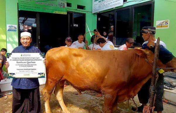 Agrinas Palma Nusantara Salurkan 42 Hewan Kurban di Seluruh Indonesia