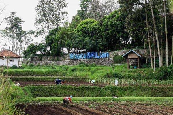 Berdayakan 5.000 Desa di Indonesia, BRI Konsisten Dorong Kemajuan Ekonomi Desa