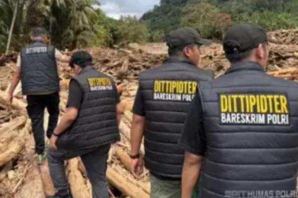 Selain Korporasi, Bareskrim Tetapkan Tersangka Perorangan Kasus Kayu Gelondongan