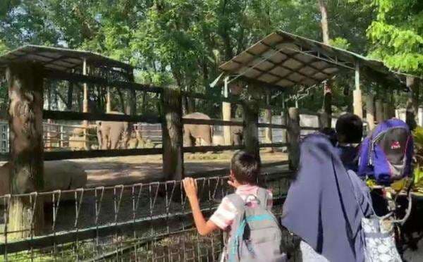 Taman Margasatwa Ragunan Tambah Jam Operasional saat Libur Nataru