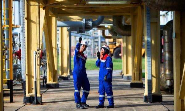 PGN Terus Turunkan Emisi Karbon, Angkanya Capai 24.861 Ton CO2e