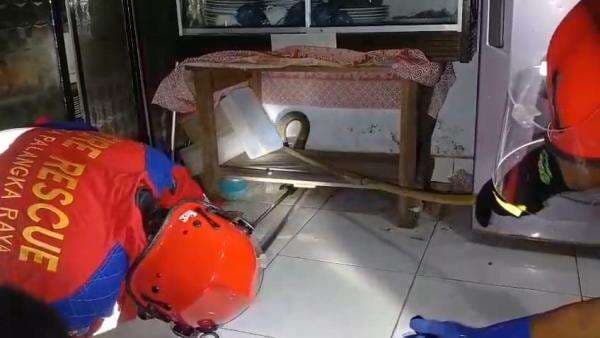 Ular King Kobra Masuk Rumah Ditemukan Pemilik Rumah Saat Akan Makan Malam