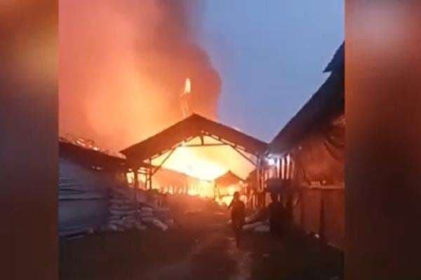 40.000 Ekor Ayam Mati saat Kebakaran di Lamongan, Kerugian Rp3,4 Miliar