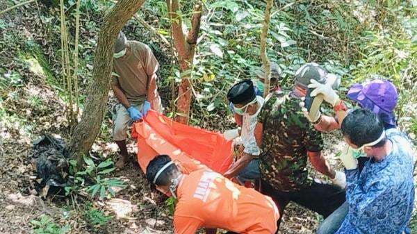 Heboh! Pencari Madu Temukan Kerangka Manusia di Hutan Pangkep, Diduga Warga Hilang Sejak Lebaran