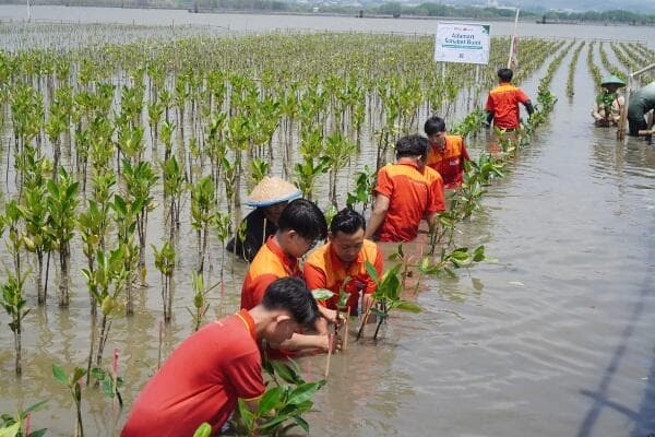 Peringati Hari Bumi 2025, Alfamart Tanam 20.000 Mangrove di Pesisir Semarang