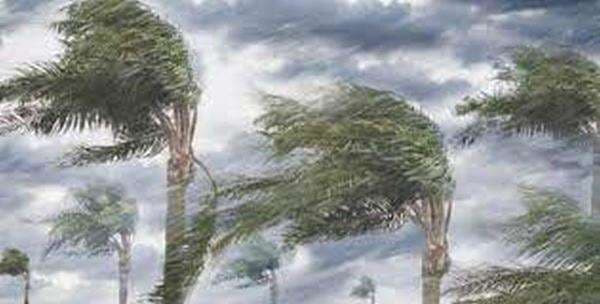 Malang Dilanda Hujan Es Disertai Angin Kencang, Kanopi Cucian Motor Roboh Timpa Warga