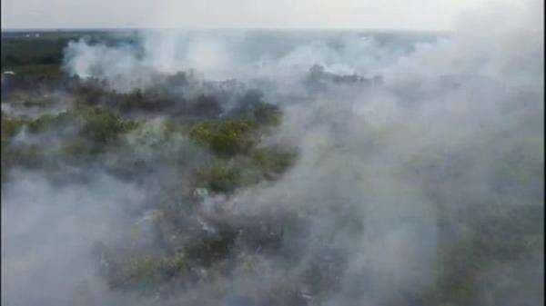 BNPB Deteksi 2.102 Titik Api di Sumsel, Penyebab Kebakaran Hutan dan Lahan