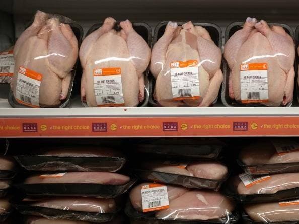 5 Tips dan Cara Memulai Bisnis Ayam Olahan, Lakukan Ini Sebelum Mulai Buka Usaha