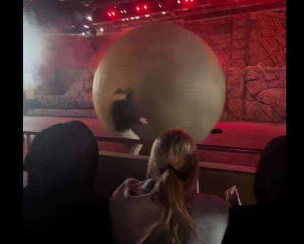 Viral Aksi Heroik Petugas Disney World, Menghadang Batu 181 Kg agar Tak Kena Penonton