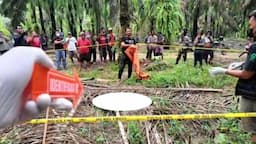 Jasad Pelajar Ditemukan Mengenaskan di Perkebunan Sawit, Sempat Dilaporkan Hilang 9 Hari
