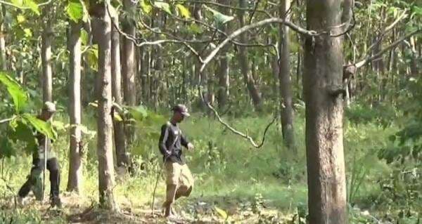 Remaja Berkebutuhan Khusus Hilang di Hutan Magetan, Pamitan Menyusul Ibu Cari Rempah