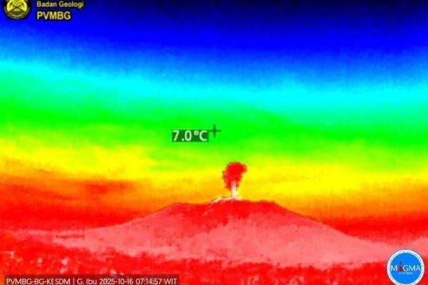 Gunung Ibu Meletus Hari Ini, Muntahkan Abu Vulkanis Setinggi 500 Meter ke Langit
