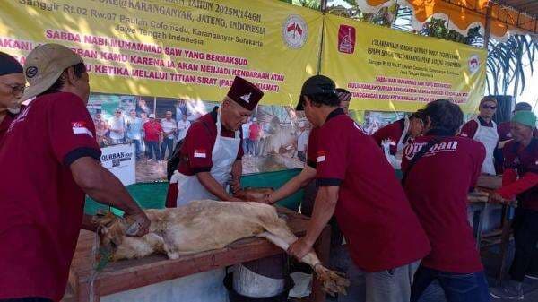 Komunitas Muslim Singapura Kurban Ratusan Kambing di Solo Raya
