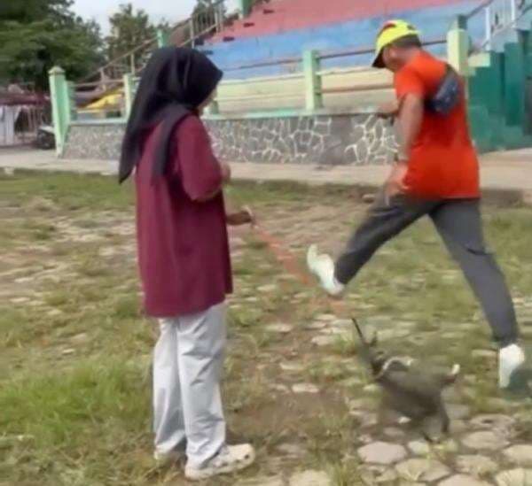 Viral Pria Tega Tendang Kucing hingga Mati, Identitas Pelaku Sudah Ditemukan