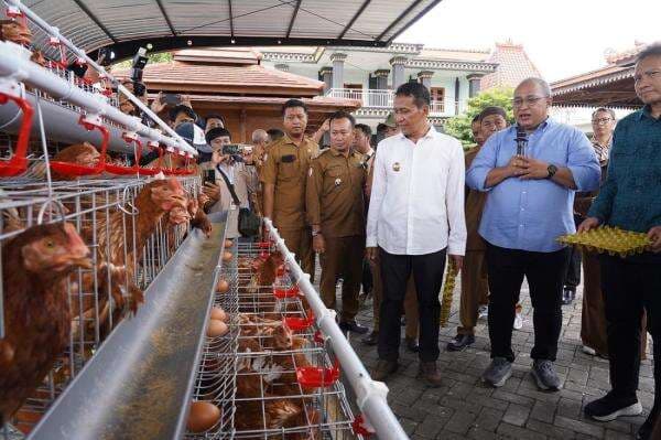 Bupati Bojonegoro Luncurkan Program Gayatri: Distribusikan 21.600 Ayam Petelur untuk Warga