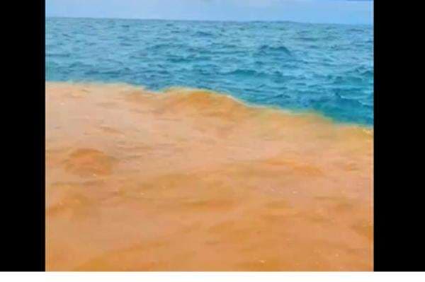 Air Laut 2 Warna Dalam Al Quran seperti Fenomena di Pantai Baron, Begini Penjelasannya