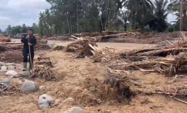 Polda Sumut Kerahkan Anjing K-9 untuk Cari Korban Banjir dan Longsor di Tapteng-Sibolga