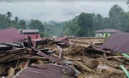 WWF Indonesia Buka Suara soal Penyebab Banjir dan Longsor di Sumatera